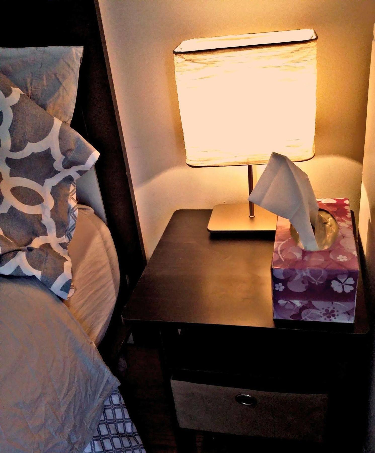 Jfk Bed And Breakfast Guesthouse 纽约 外观 照片